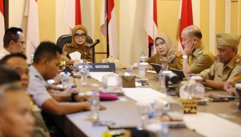 Wagub Lampung Ikuti Rakor Pengendalian Inflasi Daerah Jelang Ramadan 2025 - 3