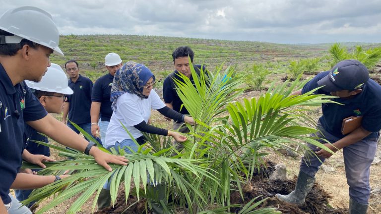 Kawal Target Produksi Harian