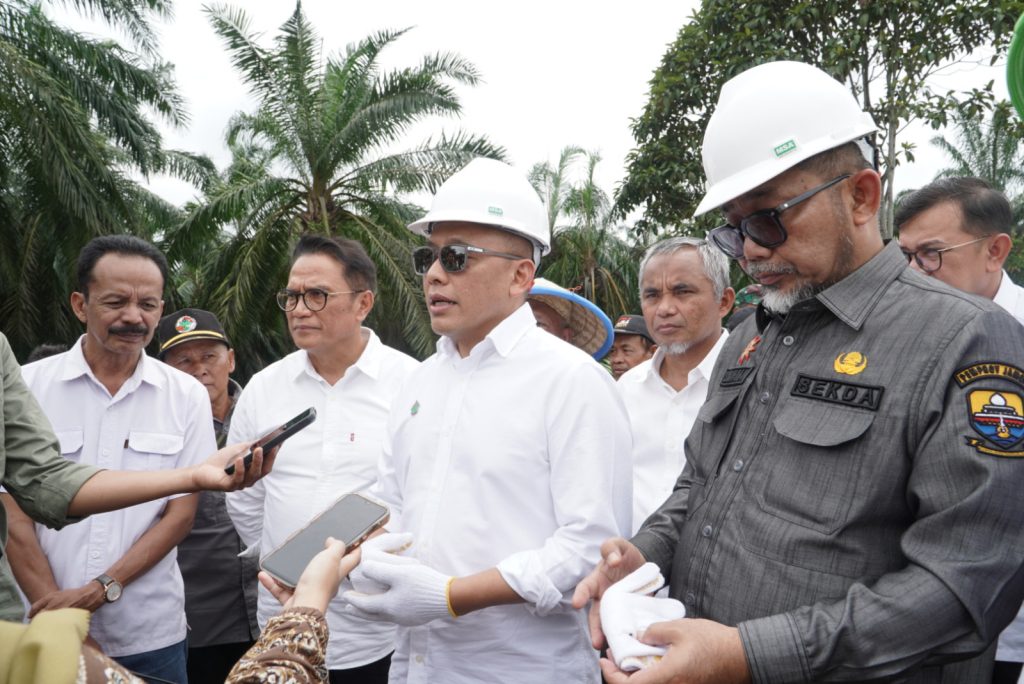 PERKEBUNAN JAMBI