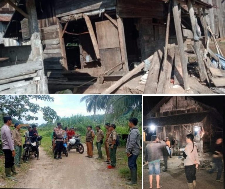 Gajah Rusak 32 Gubuk di Register 39 Sejak Minggu, Pihak Terkait Belum Hadir - 5