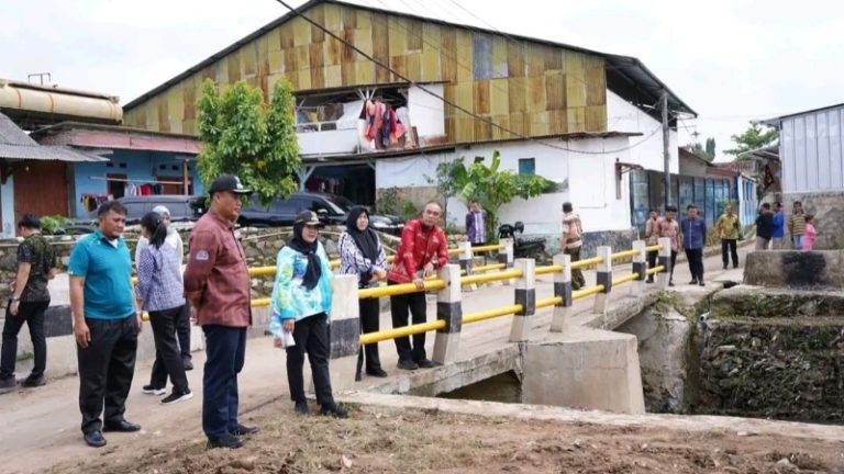 WALIKOTA BANDARLAMPUNG AKAN LAKUKAN PELEBARAN AREA JEMBATAN KALI BALAU KENCANA