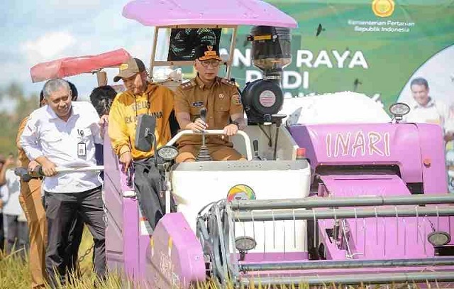 Gubernur Lampung Panen Padi Serentak di Trimurjo - 5
