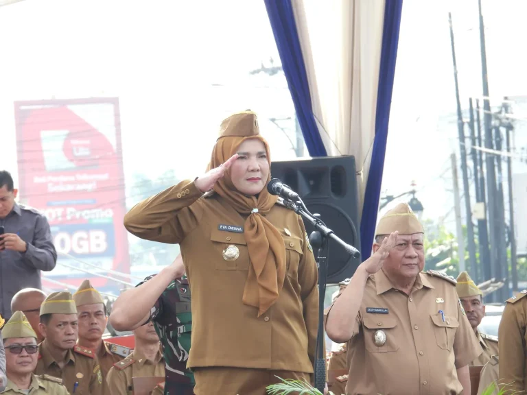 apeksiii